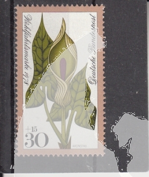 NSR 0982 ** - 1978